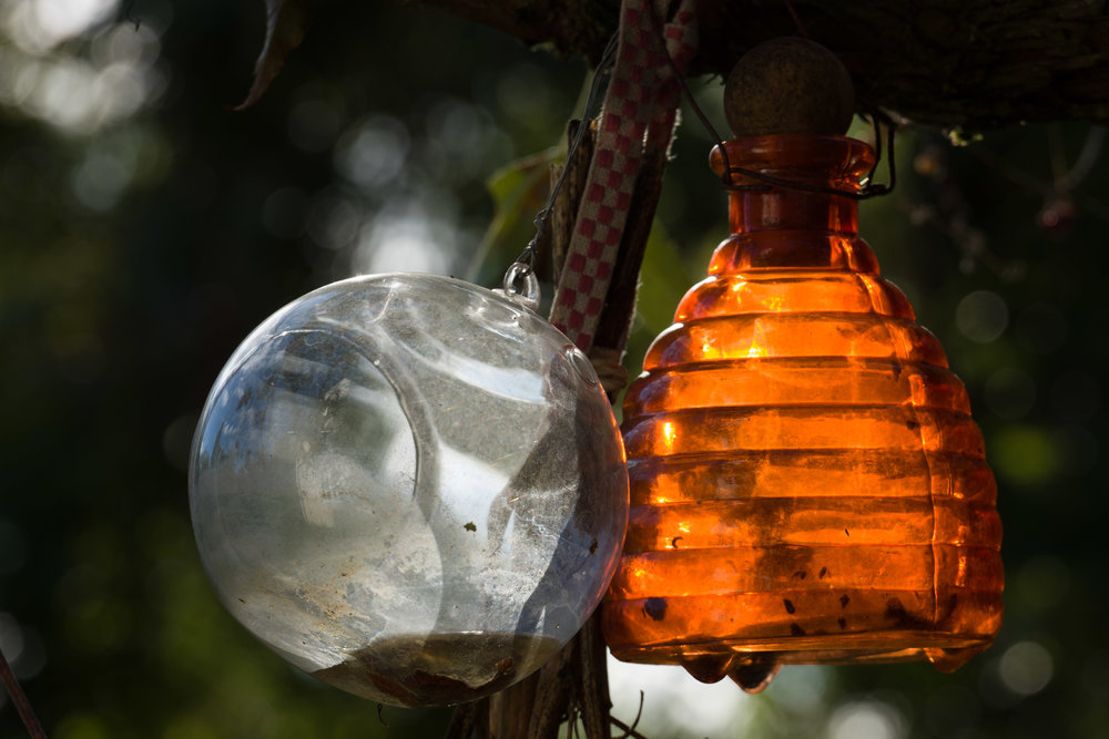 Wasp Traps: 55-135mm Vario Elmar