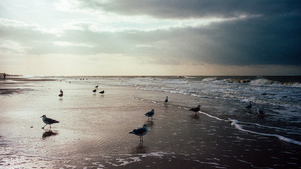 Sylt: Evening on the Hauptstrand. Leica M3 with 35mm Summicron at f/5.6 and 1000s. Kodak Portra 160.