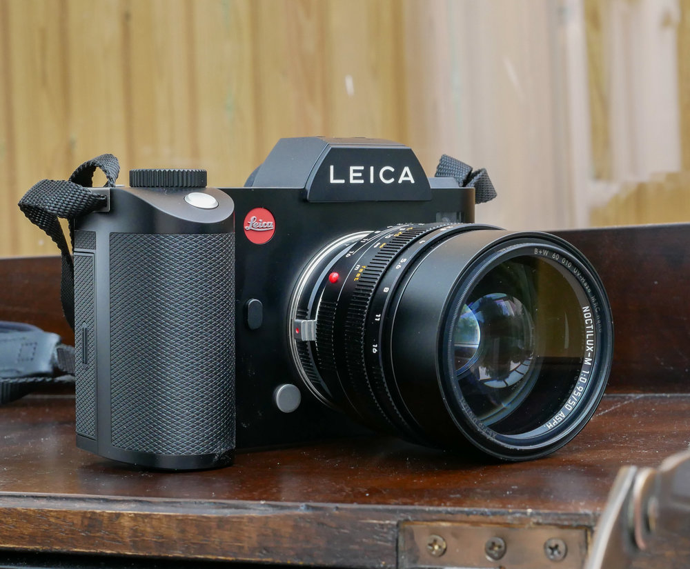 The Noctilux fits the Leica SL like a glove, and focus is easier that with the rangefinder, especially for ageing eyes. This is a clear example where use of manual lenses on a mirrorless body does pay off