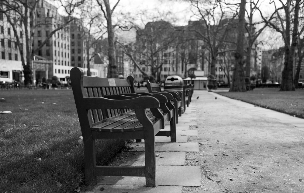 Bench bokeh test in Berkley Square — Leica M10 and 35mm Summicron at f/2