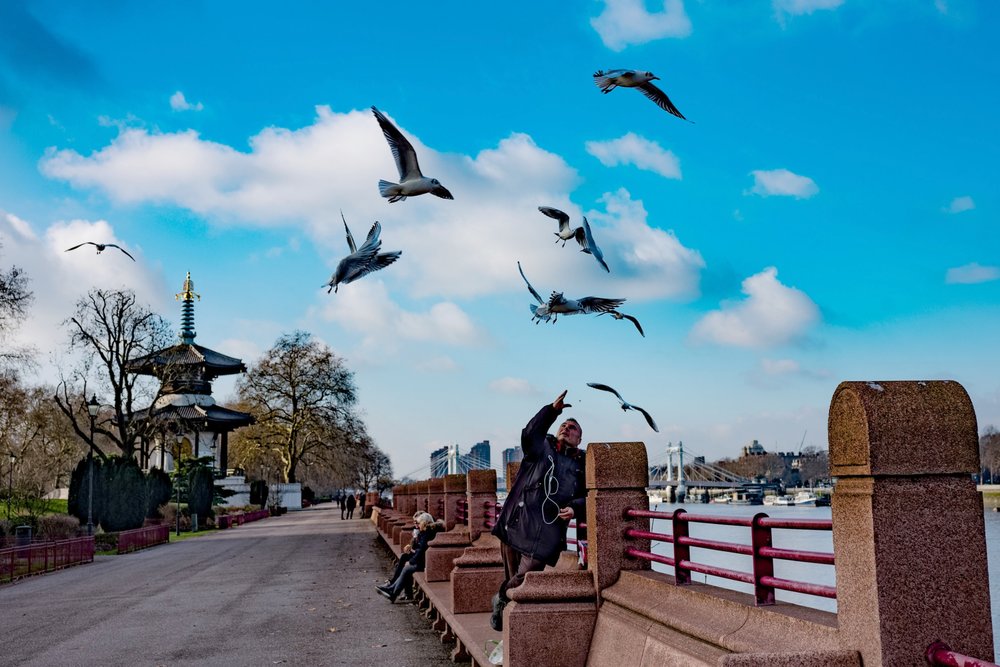 Feeding the birds, Leica M10