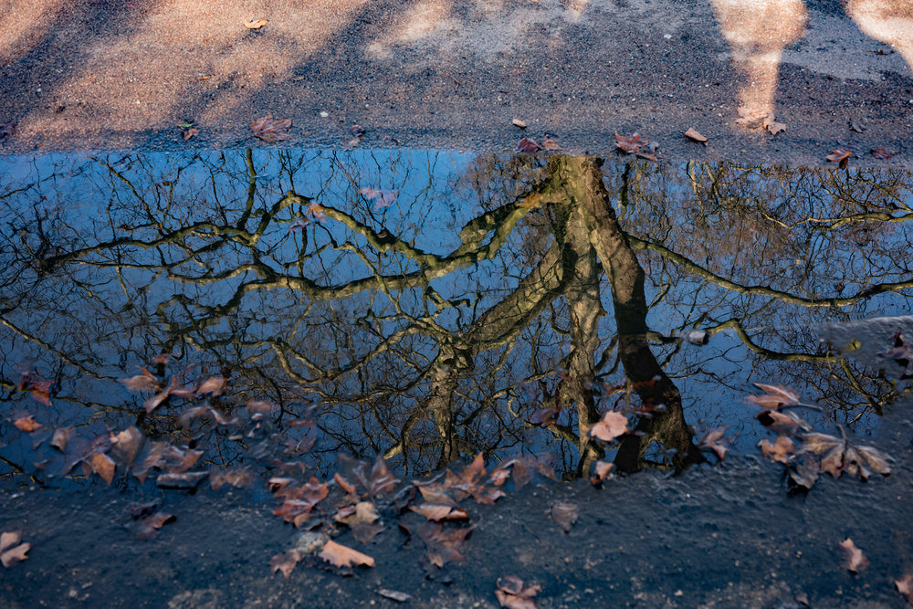 Reflections in a roadside puddle, Leica M10