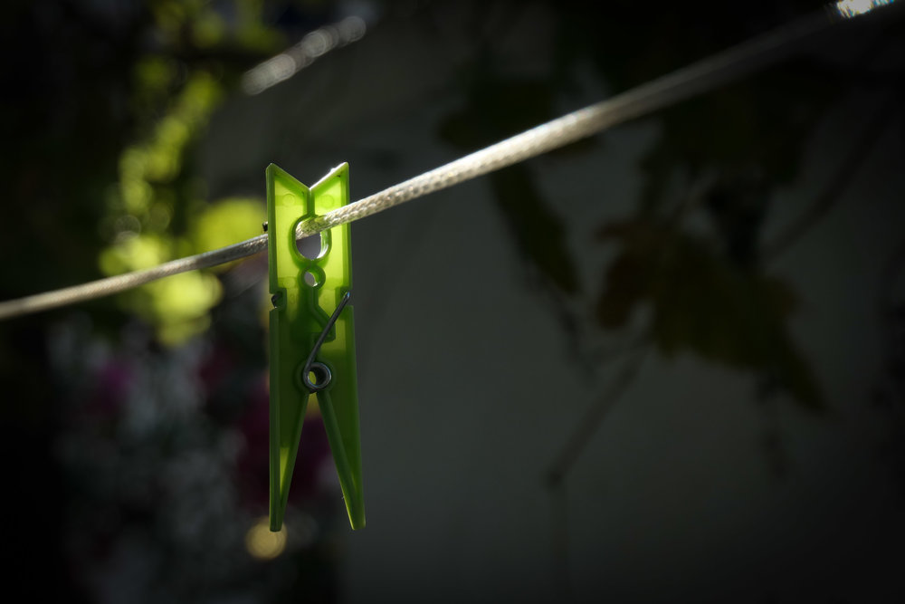 Something about Clothes Pegs (ISO 125 1/320th f5.6 133mm Leica C-Lux)