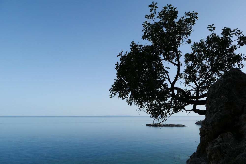   Goat Island outside Loutro - and that tree! (ISO 125 1/1000th f5.6 24mm Leica C-Lux)  