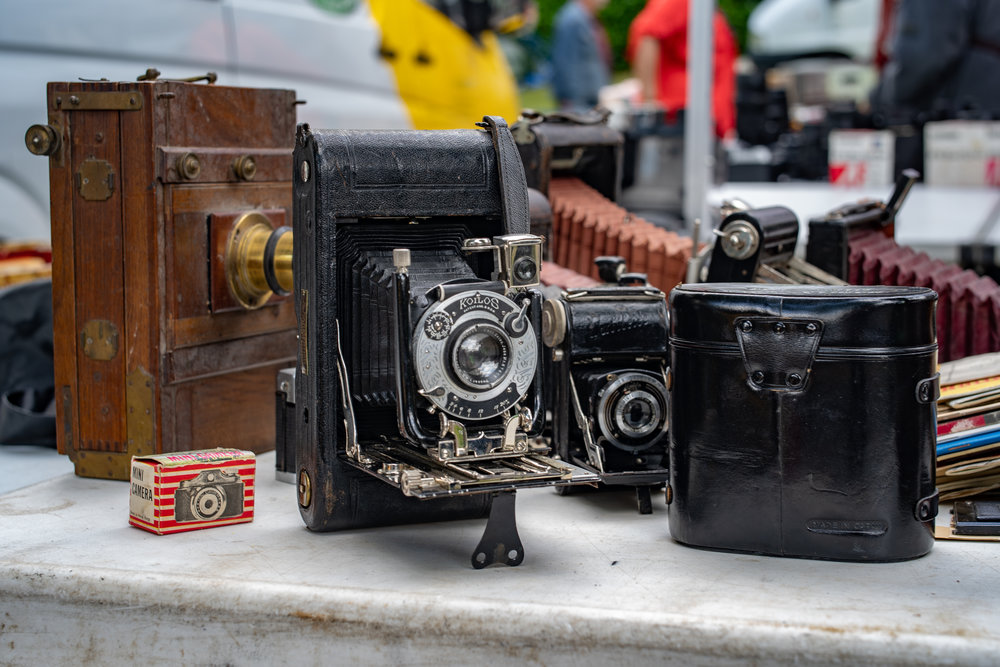 Folding cameras are not expensive (unless they are rare, of course) and you can pick up pretty ornaments for between €15 and €40. Most will actually work if you have the patience and can find the film