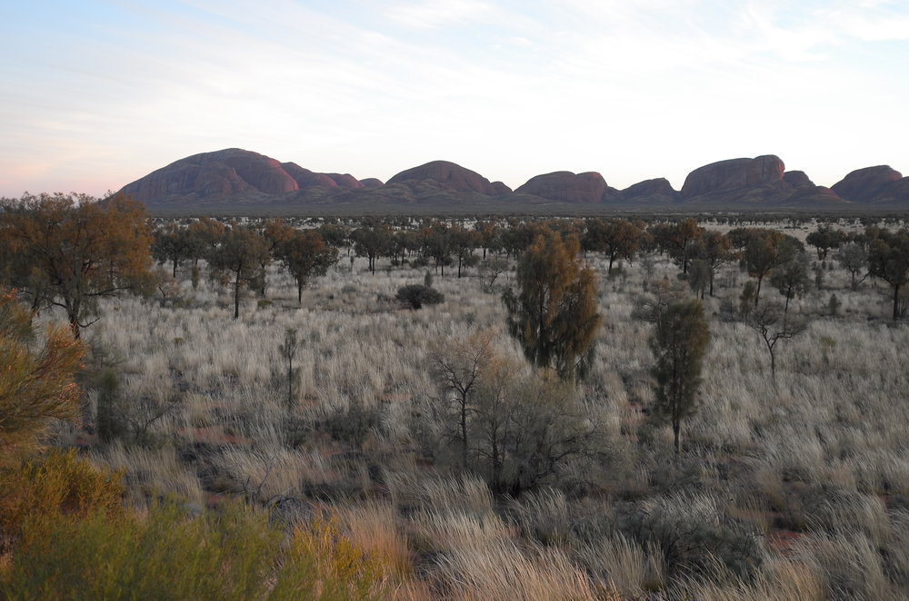   Lata Tjuta, freezing dawn  