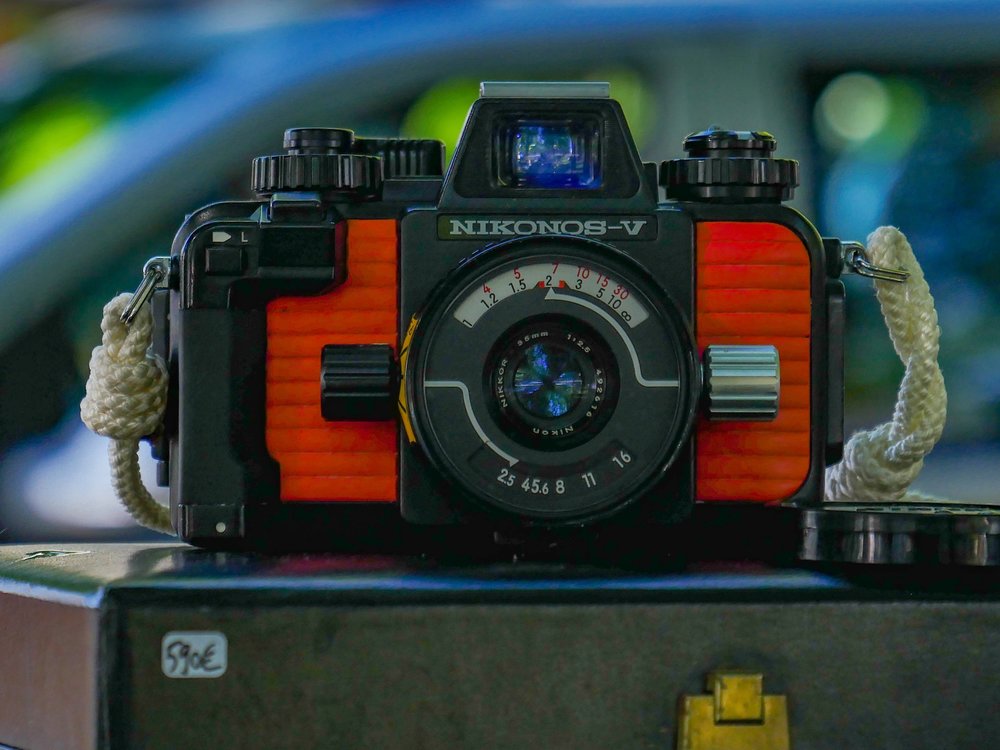 Nikonos resurfaces. (Image Mike Evans, Panasonic GX8 and Leica DG 12-60mm)