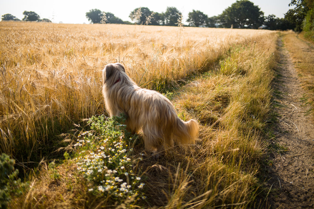 With 28mm Summilux Asph at f/1.4, ISO 200