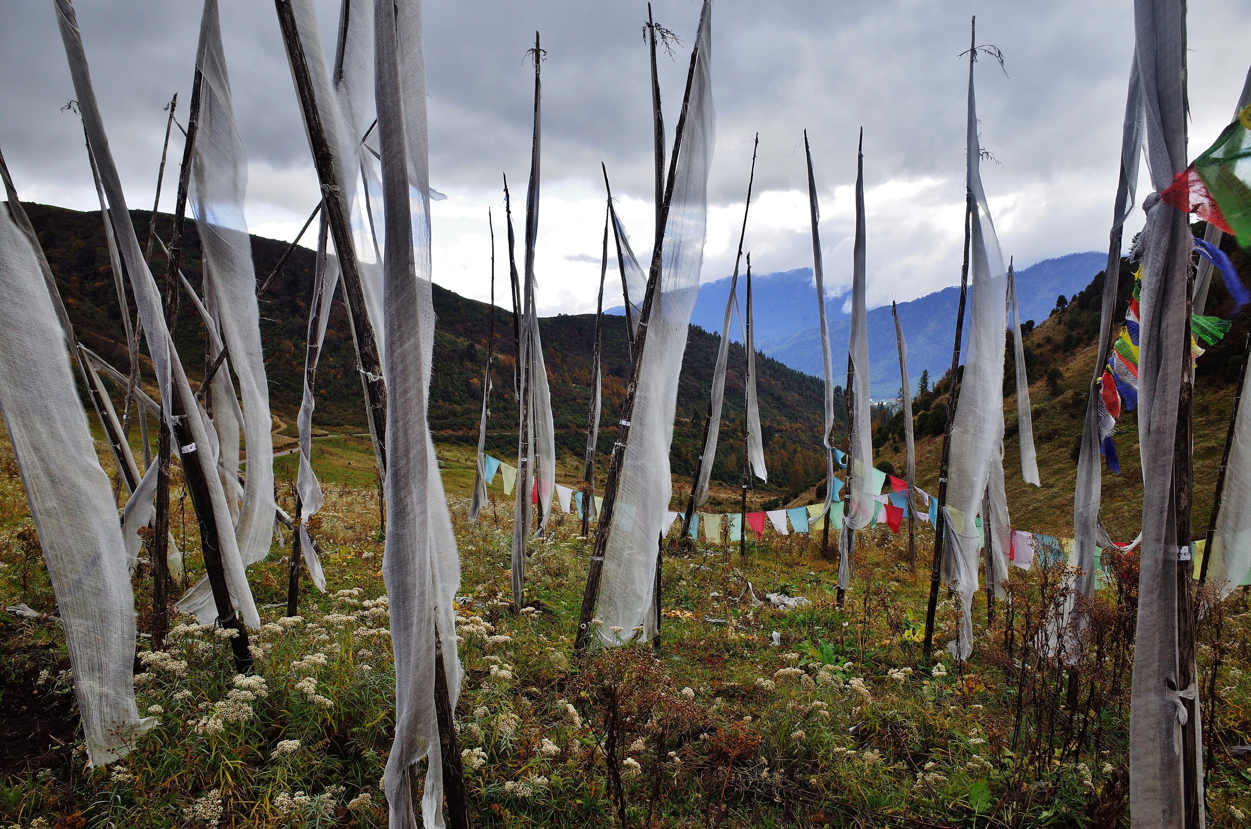   Prayer flags at a mountain pass, Bhutan(28mm)  