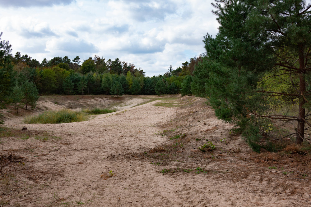 On the other side of the trees next to the river is this sandy clearing which was part of the old circuit and would have been where Clark’s Lotus careered off into the trees and ended up against the river bank
