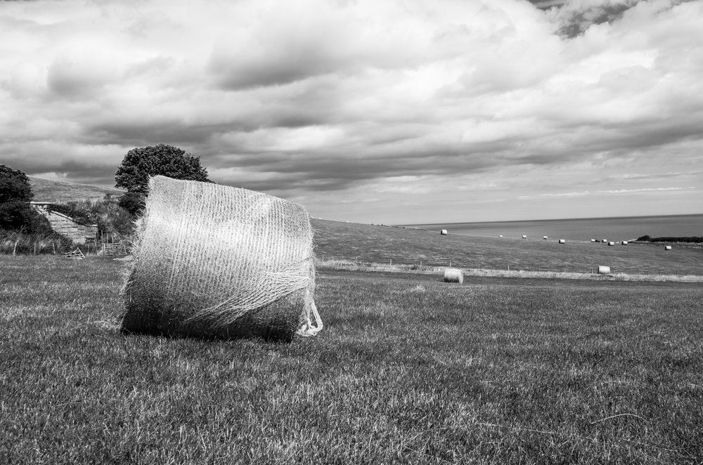   Hay bails on the Cleveland Way  