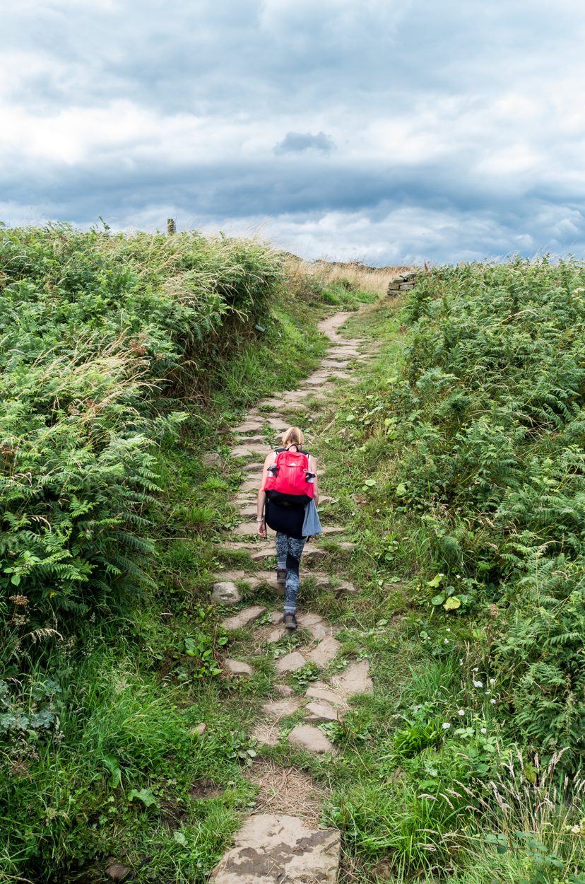   The marvellous stones steps and track that makes this an easier to navigate route  