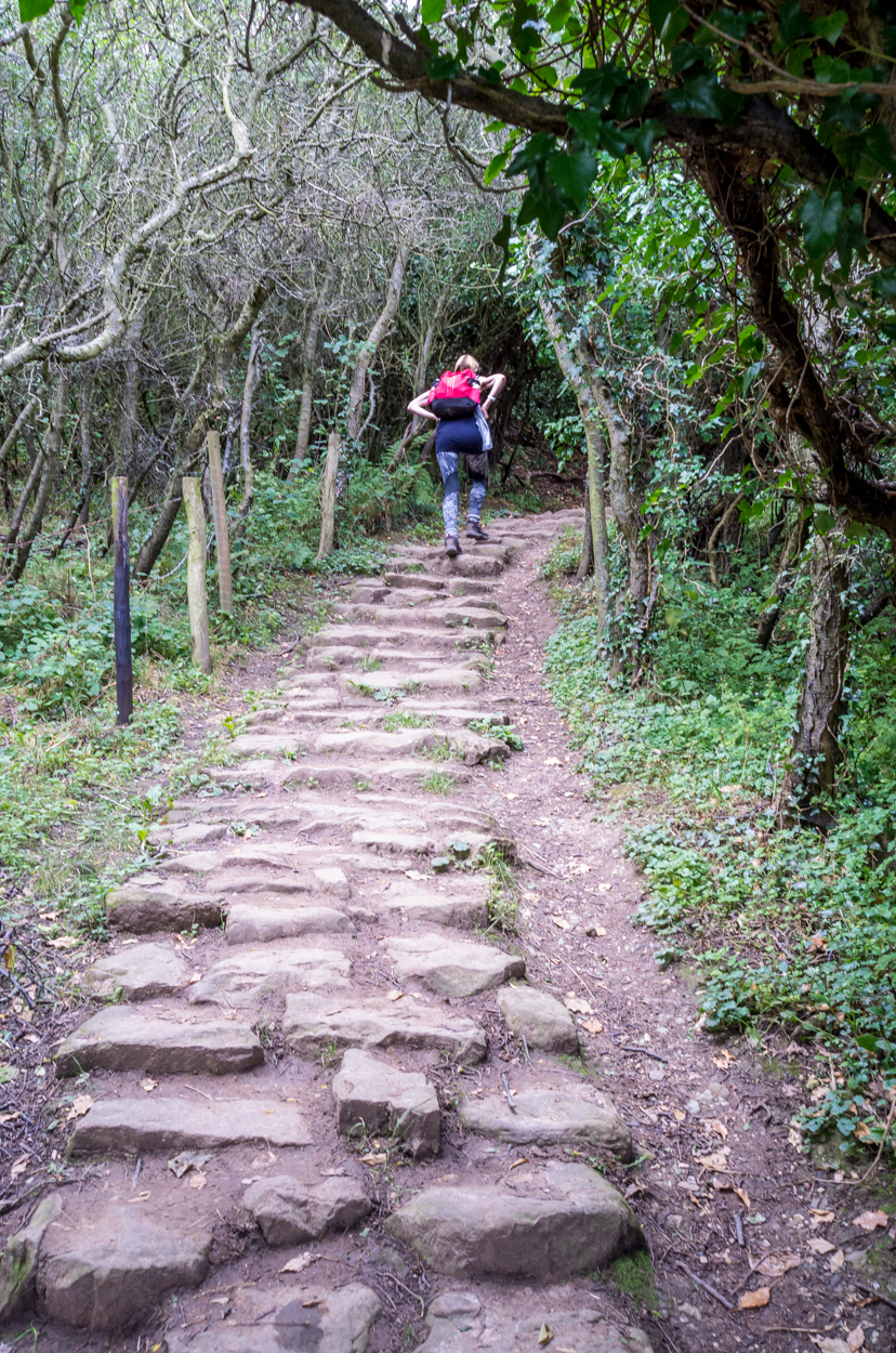 The fairy steps