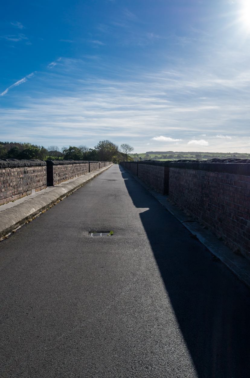 Larpool Viaduct - the view that greets as you pass out of the trees.