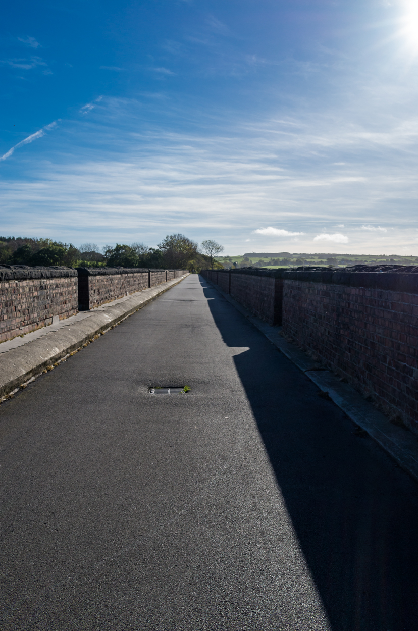   Larpool Viaduct - the view that greets as you pass out of the trees.  