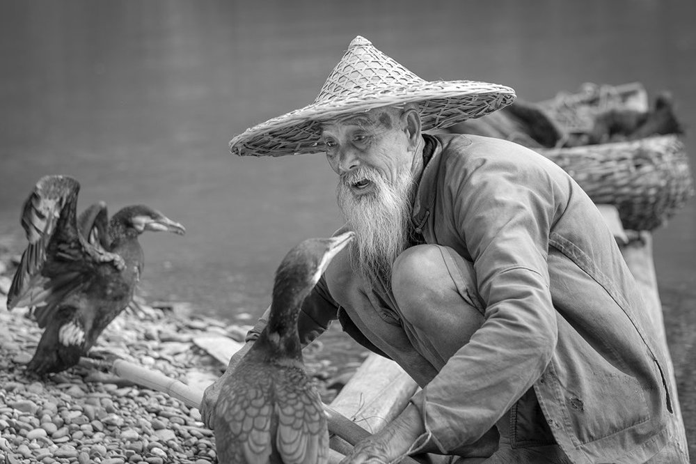 Leica M9 Monochrom with Leica 75mm APO Summicron