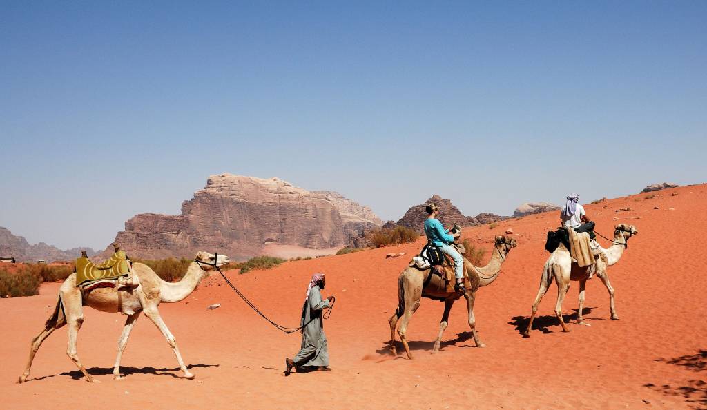 Camel Train at Wadi Rum