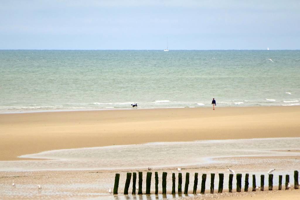 Another beach, but this time a feeling of wide-open-ness, serenity, wistfulness.