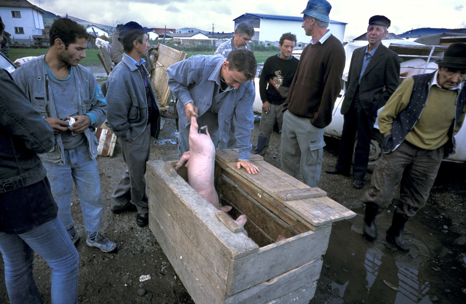 Buying and selling pigs in a market in Szekelyudvarhely Odorheiu Secuiesc (Leica M6 and 35mm f/1.4 Summilux)
