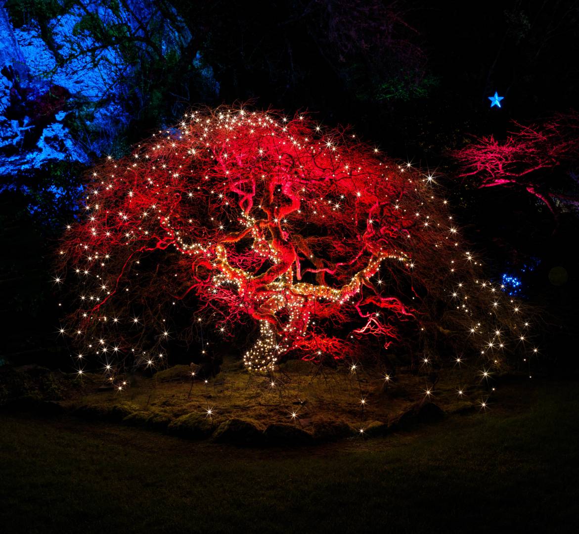 Hasselblad XCD 30mm/3.5, 6 sec, f/11, ISO 1600