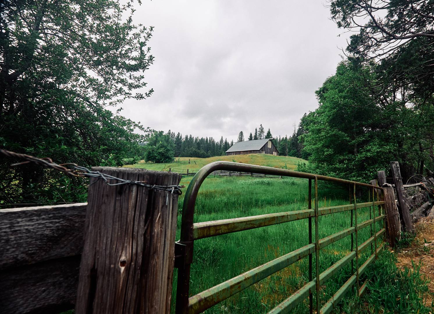 The barn