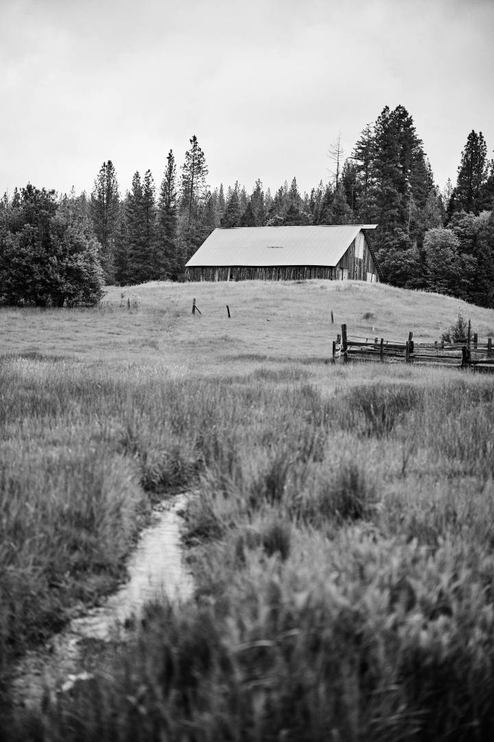 Stream and the barn