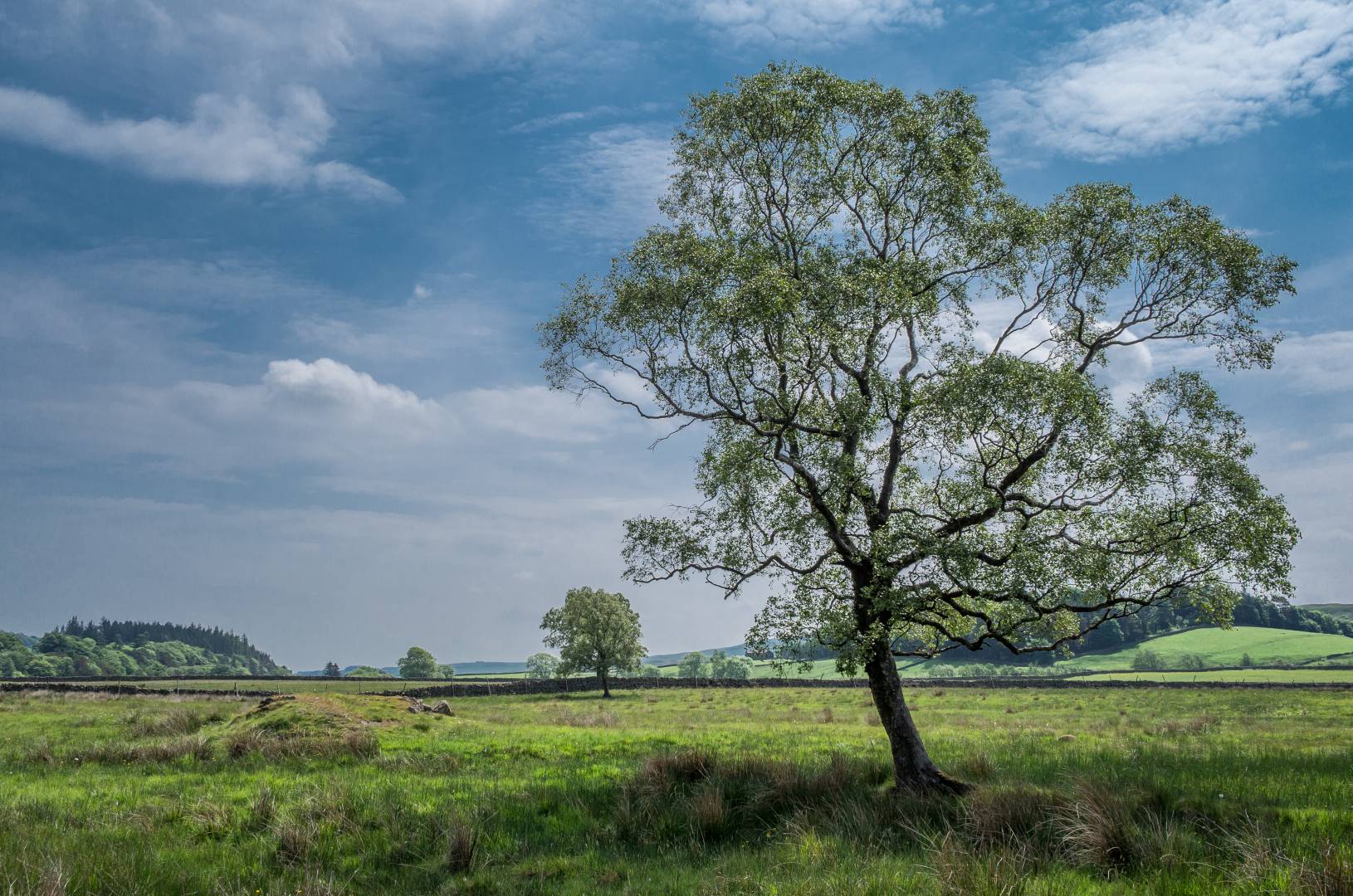 View down the valley towards Middleton-in-Teesdale, taken from the footpath between Low Force and High Force