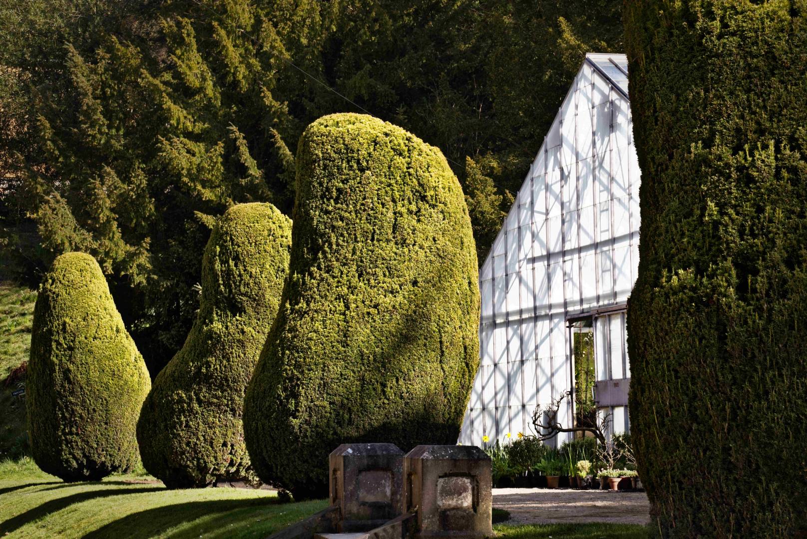Topiary and Glasshouse - 29th March 2019. Fujifilm XT2 - with 50-140mm F2.8, at 72mm, 1/70s, f/11, ISO 200