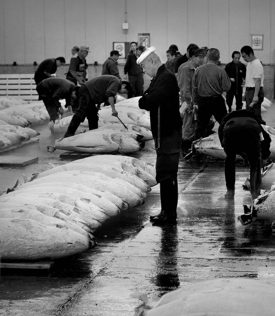 Tsukiji tuna auction, Leica M8 50mm early rigid Summicron