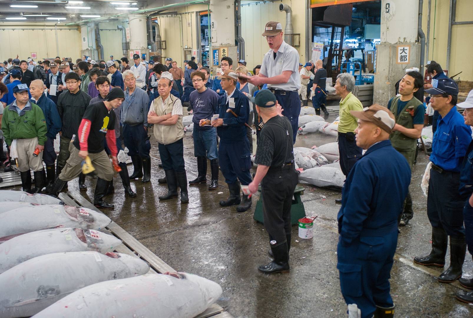 Tsukiji tuna auction, Leica M8 50mm early rigid Summicron