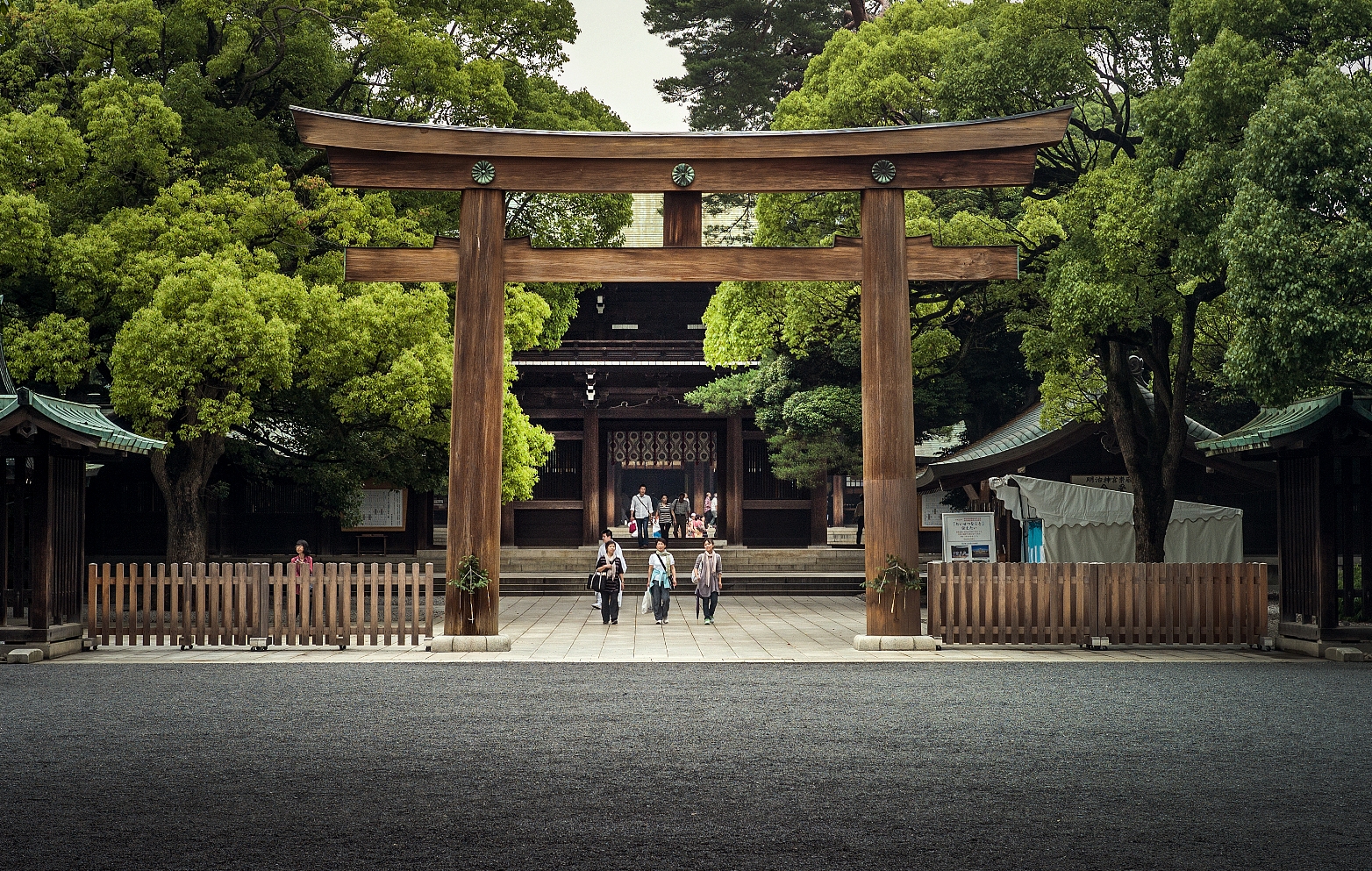 Entrance to the Meiji Jingu shrine, Leica M8 28mm Voigtlaender 1.9
