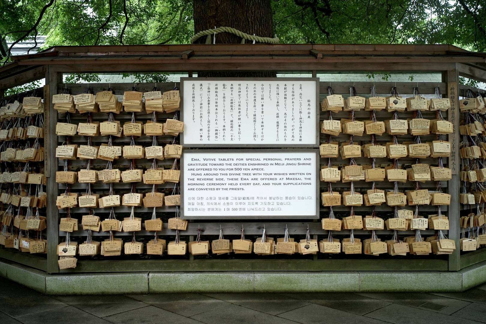 Meiji Jingu shrine, Votive Cards, Leica M8 28mm Voigtlaender 1.9