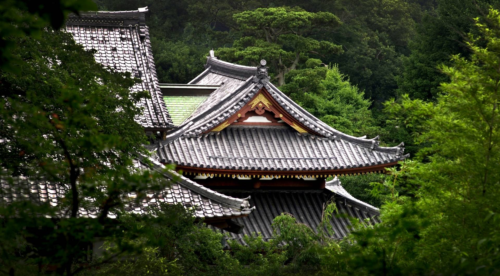 Hasedera Buddhist Temple, Kamakura, Leica M8 90mm Elmarit-M