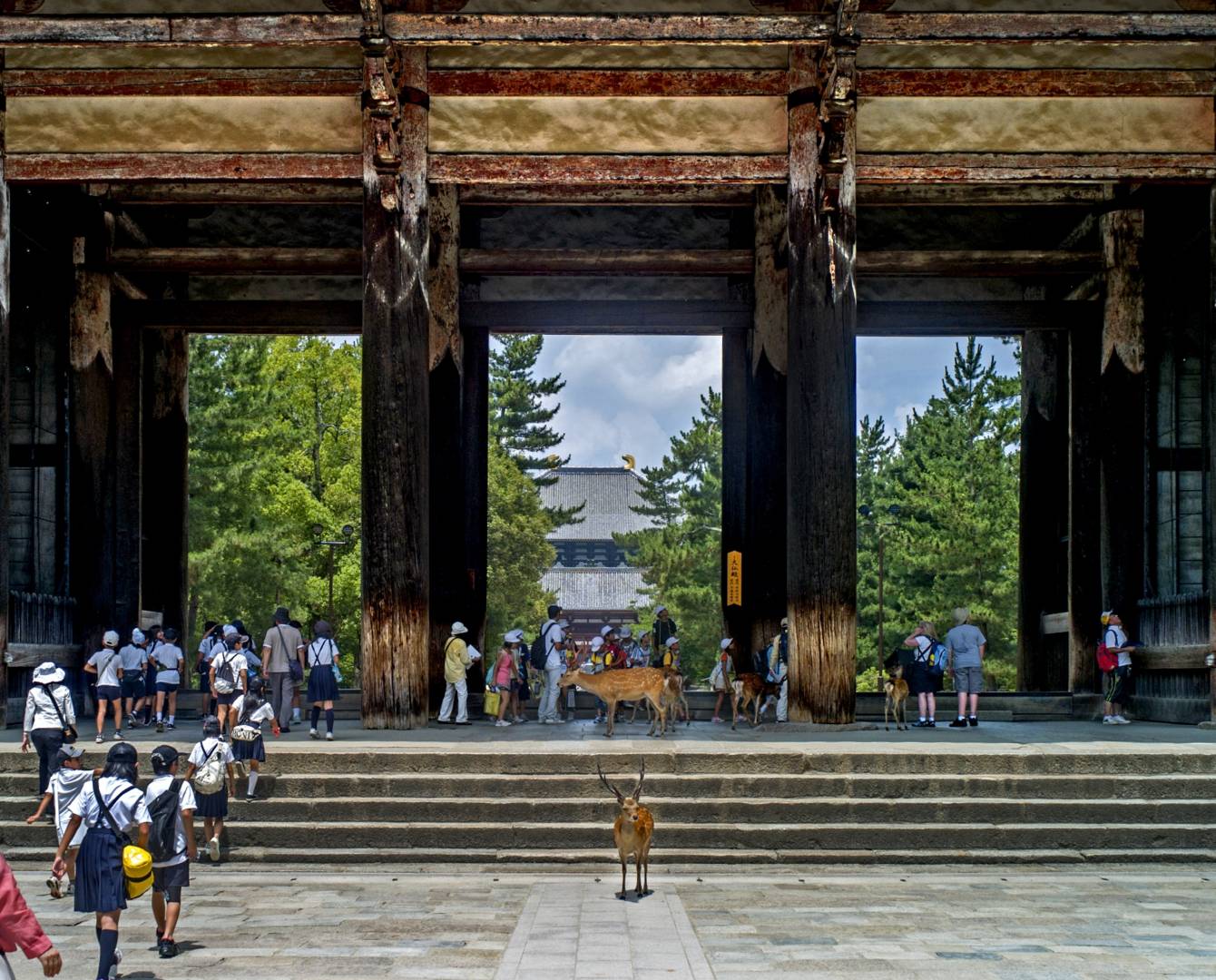 Grounds Entrance to Todai-Ji in Nara, Leica M8 28mm Voigtländer 1.9