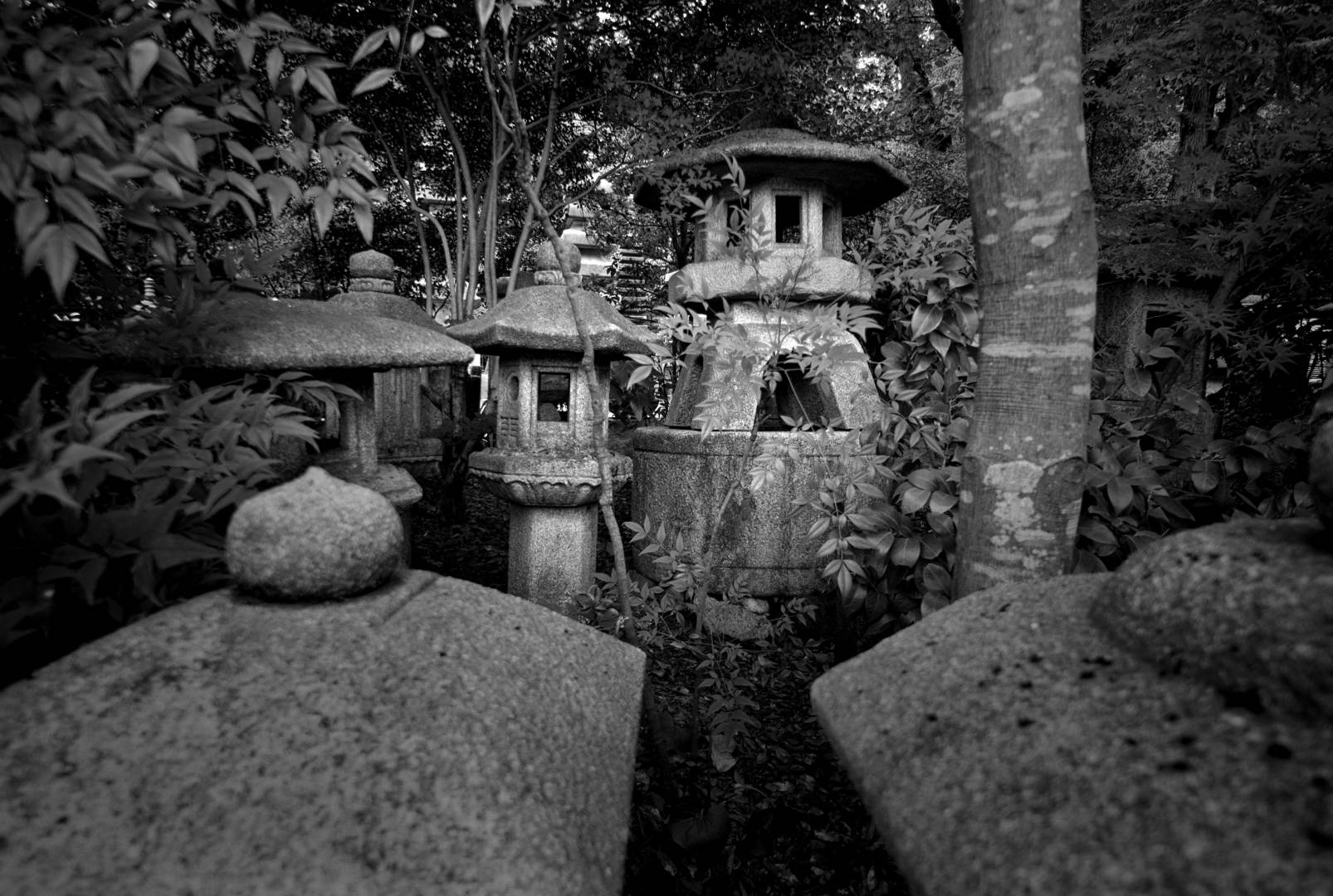 Stone lantern storage Ryoan-ji temple, Leica M8 50mm Summicron