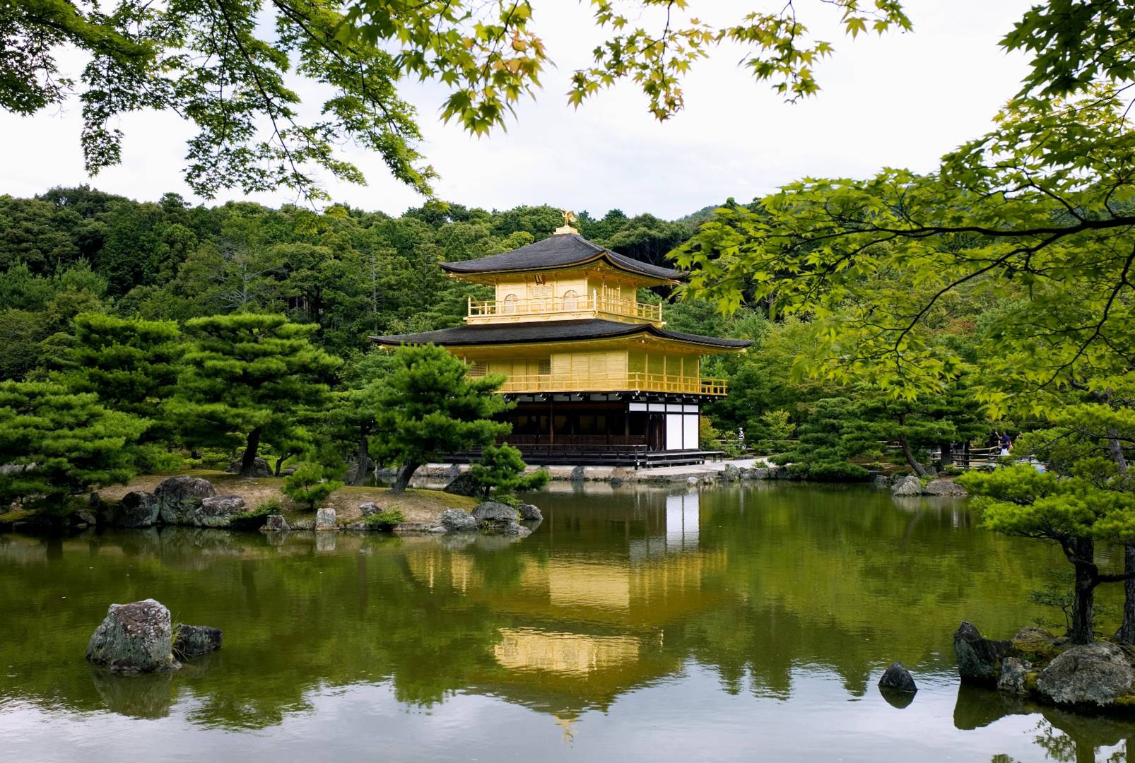 Kinkaku-ji temple, Leica M8 50mm Summicron