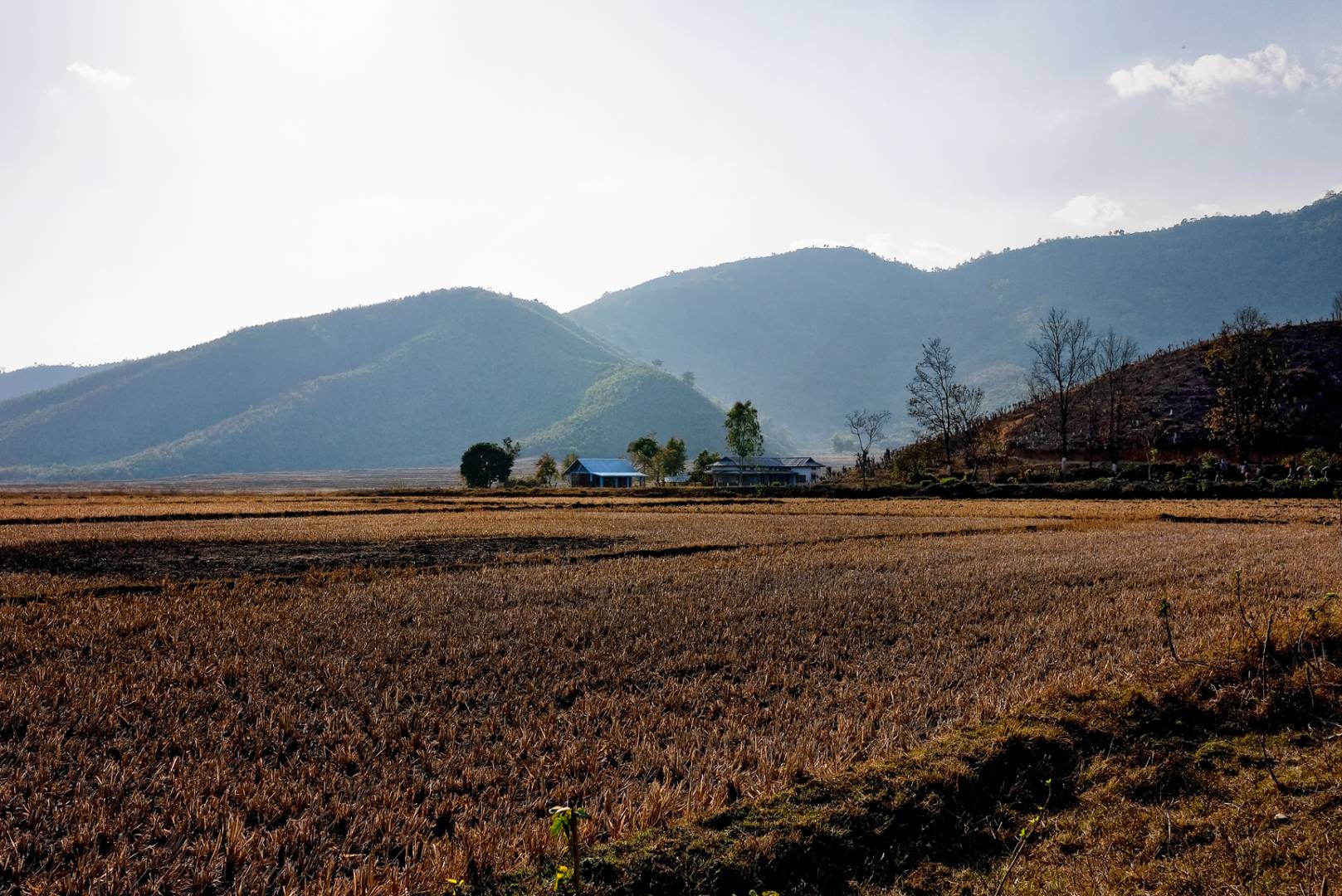 The Battlefield of Nungshigum