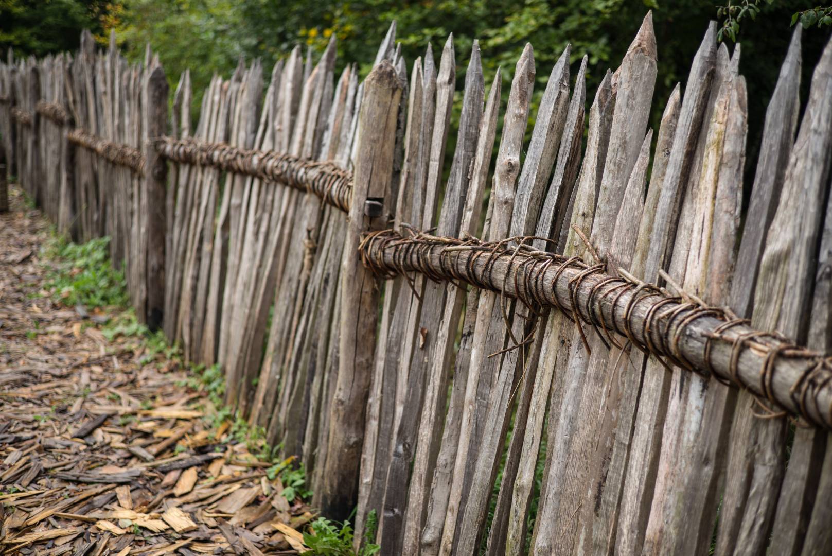 Like 1000 years ago: Fence on the experimental archaeology project site “Campus Galli”. Summarit-M 50/2.4 1/350 sec, f/2.4, ISO 200 - Leica M Typ 262 (Image ©Jörg-Peter Rau)