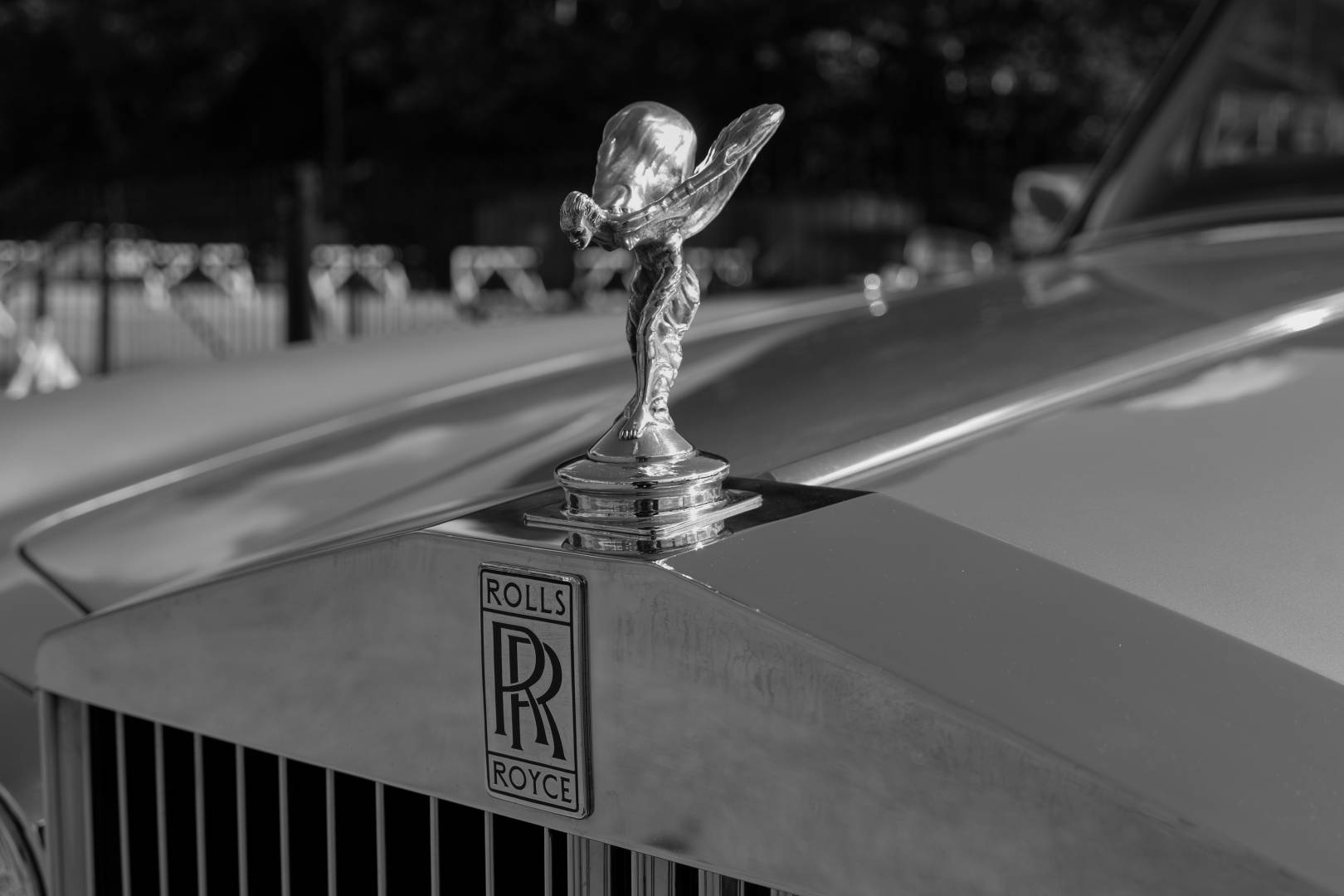 Spirit of ecstacy, has the TL2 got what it takes to become a classic? Image Mike Evans, Leica TL2