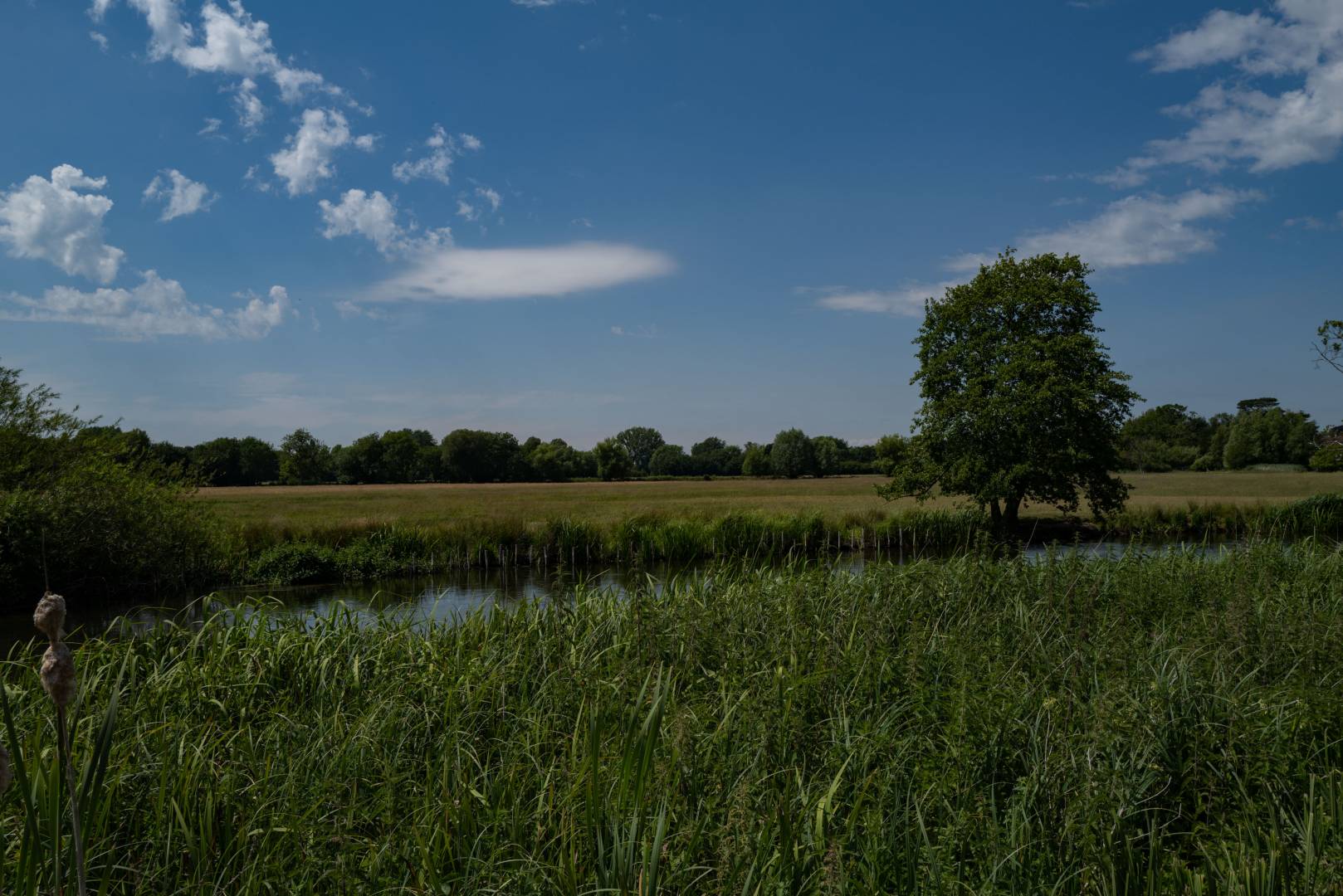 At the far end of these meadows, across the River Avon, Constable sat to paint his famous Salisbury Cathedral from the Meadows https://www.tate.org.uk/art/artworks/salisbury-cathedral-meadows-1831-t13896