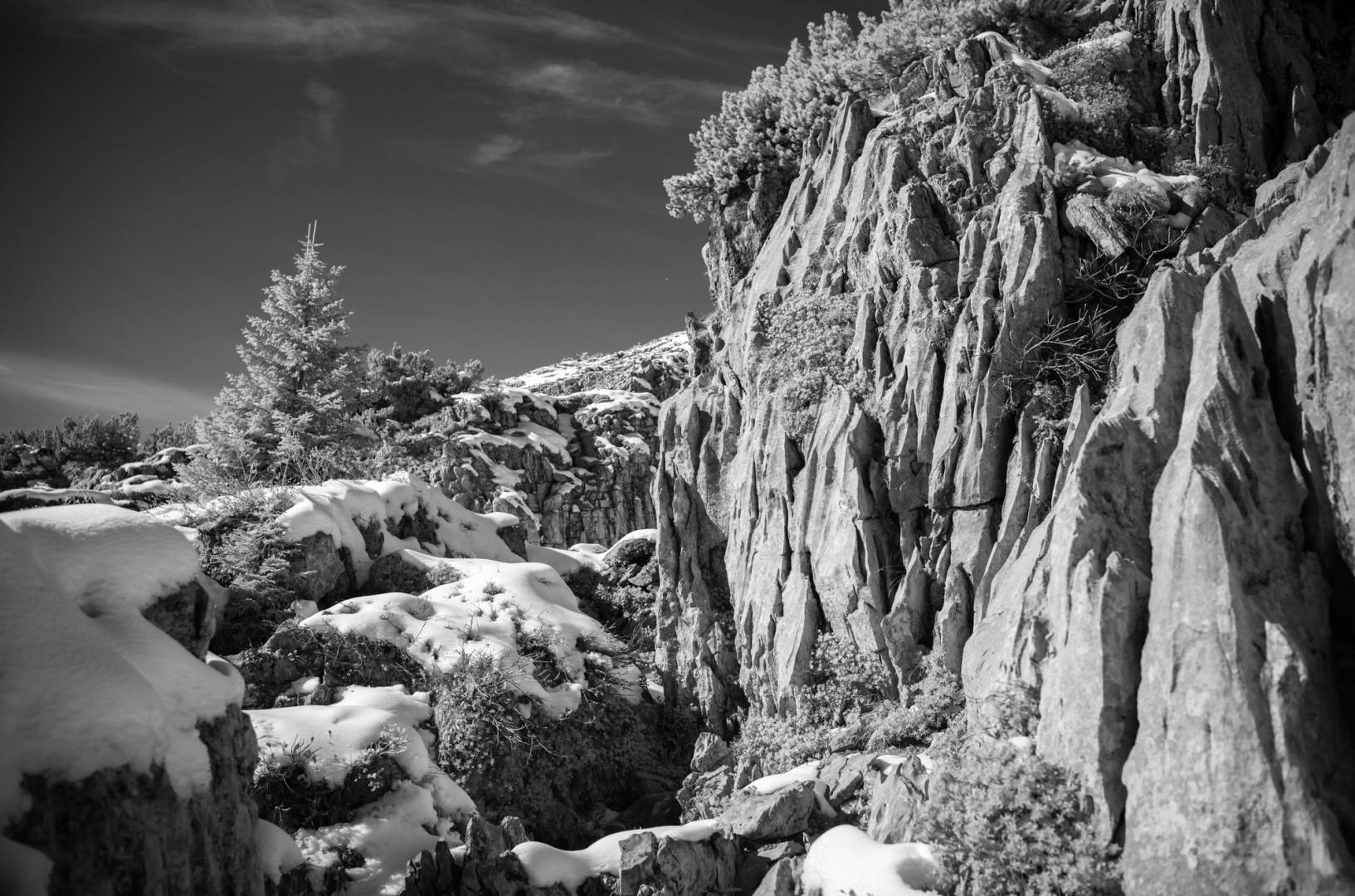Gottesackerplateau, Kleinwalsertal. Leica M10-M with 35mm Summilux 1/125s f/2.8 ISO 3200 Infrared Filter 715