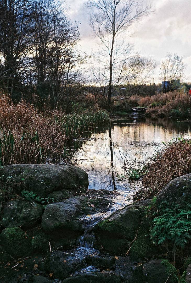 An image from the "Swiss Leica" taken by the author in Ireland in 2013