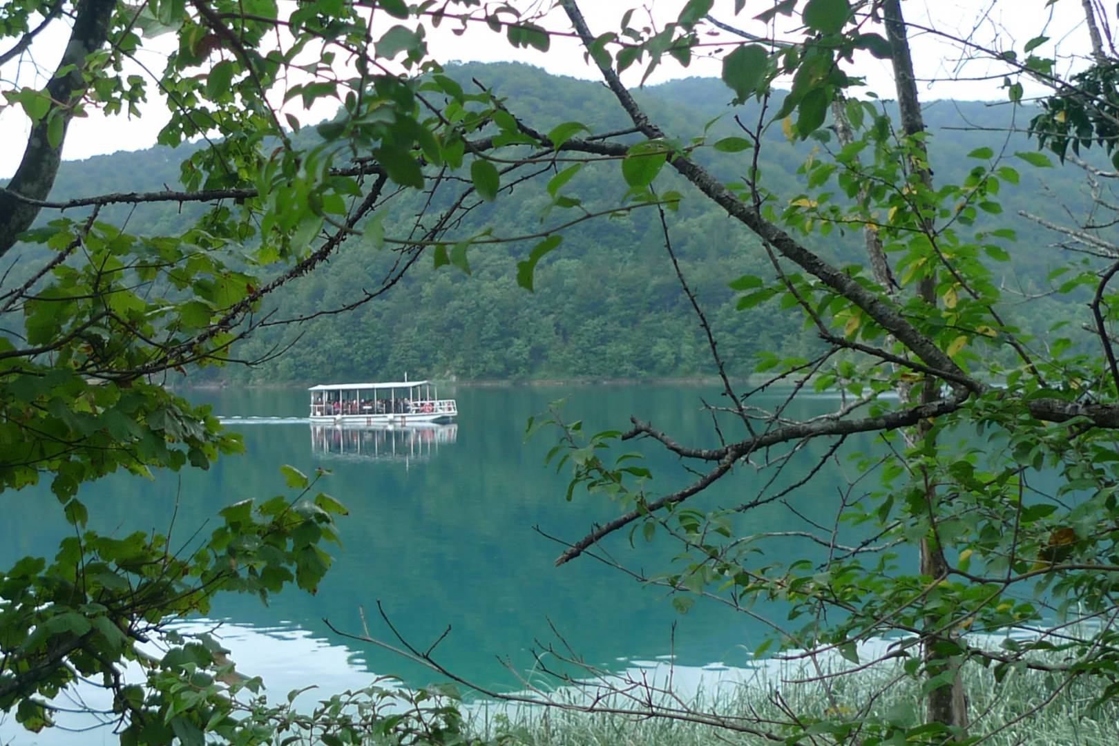 Ferry heading north on Kozjak lake. D-Lux 4 by Georgia Armstrong
