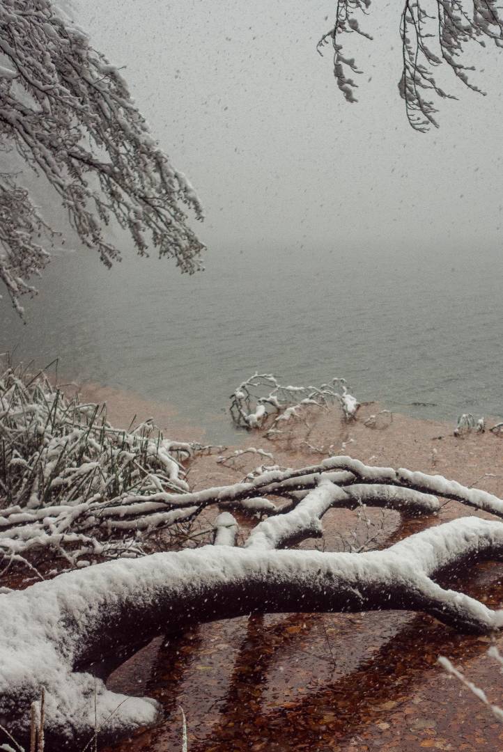 Snow. Falling into the lake. X1