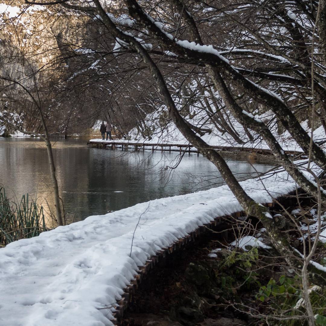 The boardwalk, Kaluderovac Lake