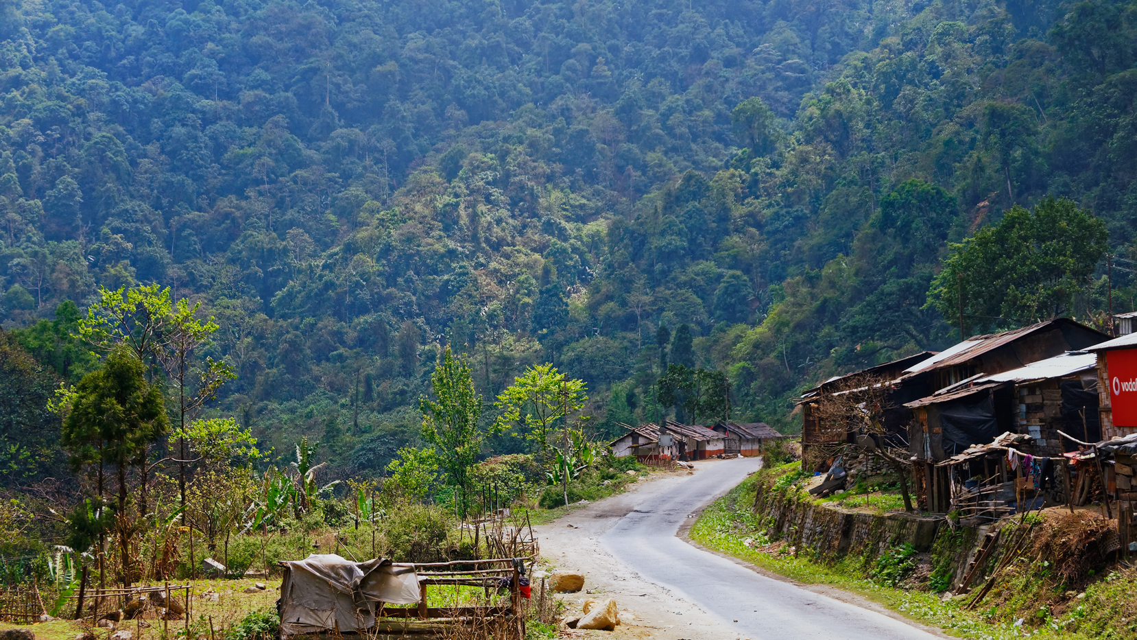The road to Tawang passes through the Orchid Sanctuary at Sessa
