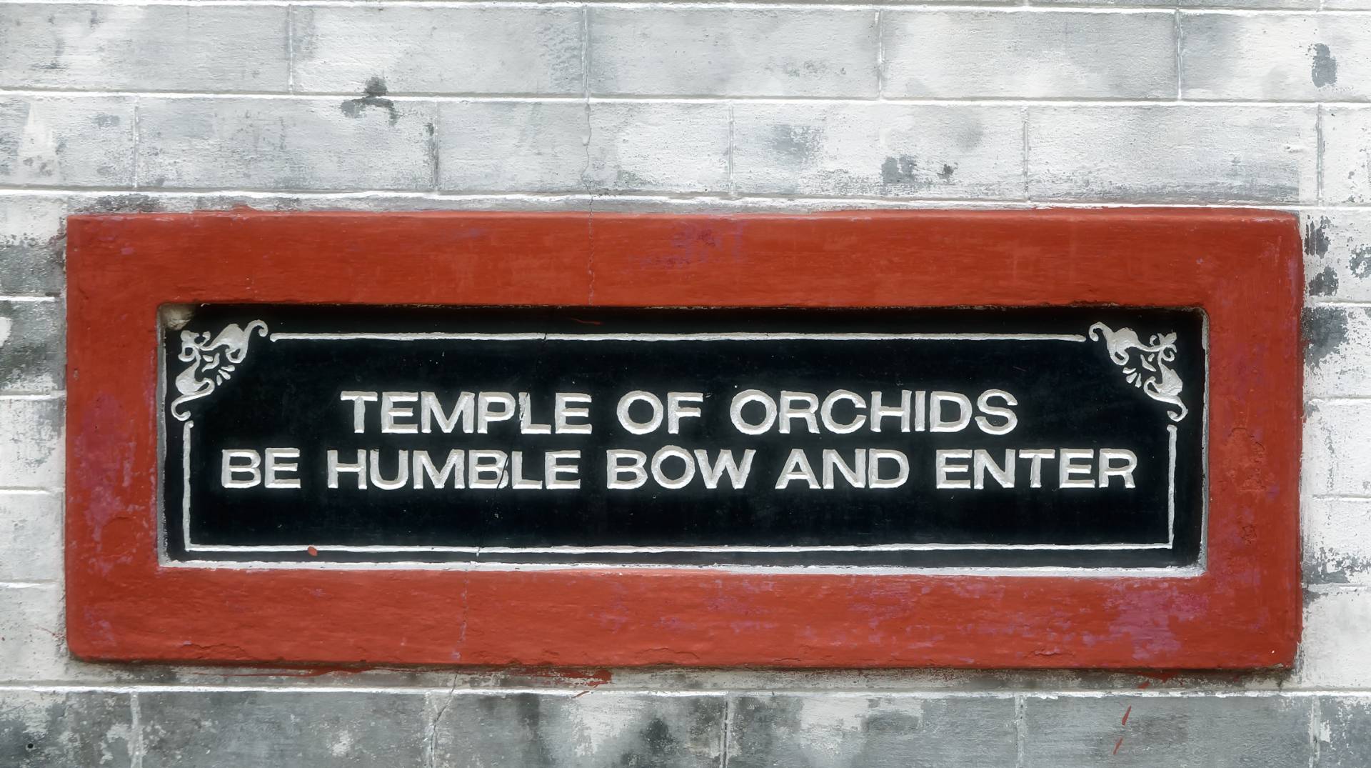 Be humble in the presence of beauty