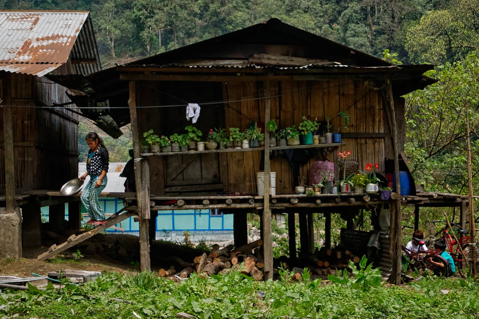 A modest dwelling in Sessa shows off its plants
