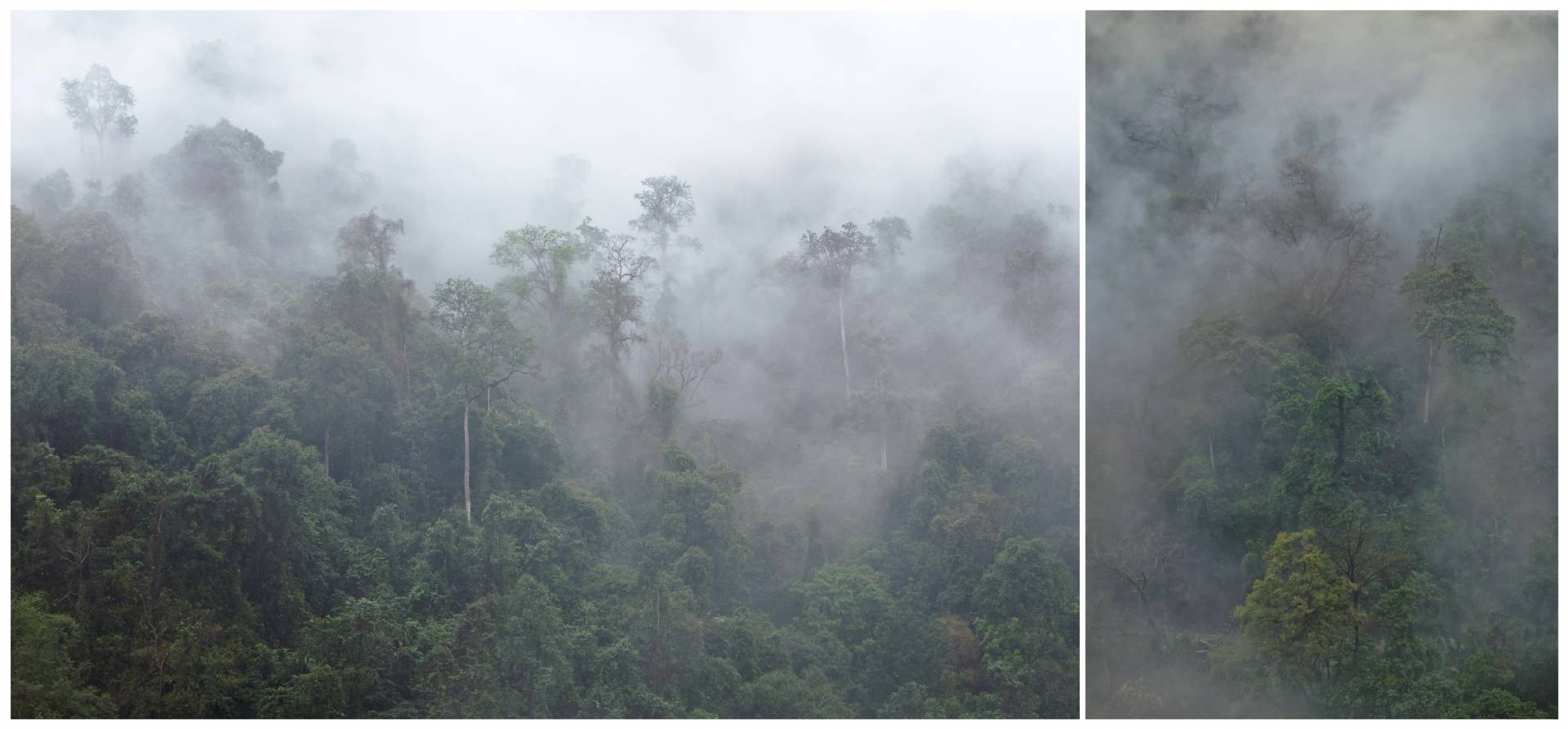 The road between Nechiphu and Sessa is perennially under cloud cover