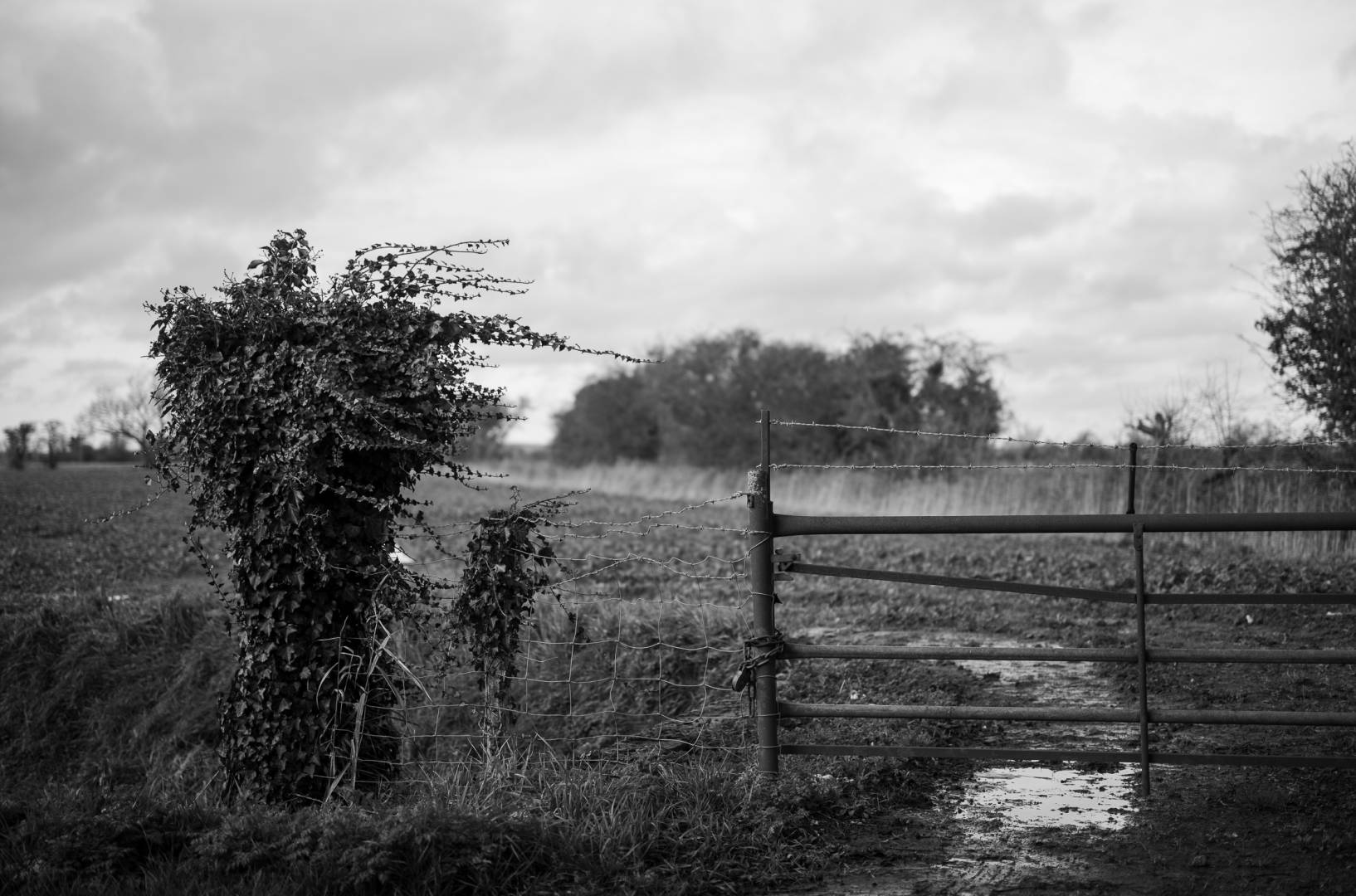 In the midst of another lockdown, I keep distant by shooting from the driver’s seat whilst looking for evidence of the humans that I know are here somewhere. I limit myself to one camera and one lens on any given foray. This time around, I am feeling the monochrome mood more than ever. Leica M10M & APO Summicron-M 50mm (if the government imposes a one lens per household limit, I am having this one!)